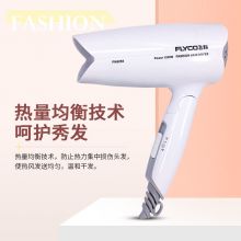 飞科（FLYCO） 电吹风 折叠式 冷热风恒温 FH6255