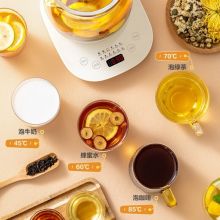 美的（Midea）养生壶 煮茶壶烧水壶智能 MK-YSNC1501