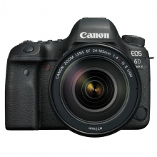 佳能 EOS 6D MarkII 单反套机 （EF 24-105mm f/3.5-5.6 IS STM 镜头）