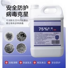 佳佰 75%酒精乙醇消毒液 家用酒店车间衣物消毒水5L*1