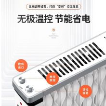 先锋 取暖器电暖器 CY88MM-12/DS1882 蜂窝结构热浪电油丁电暖器12片