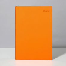 泰视趁早2022薄本效率手册每日计划笔记本A5-爱马仕黄