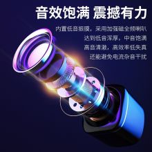 纽曼（Newmine）BT55有线迷你小型USB多媒体音箱 黑色