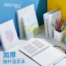文谷(Wengu)B5线圈活页本26孔横线80页PL003-B5-D