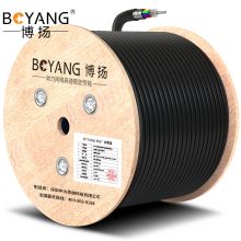 博扬（BOYANG） BY-GYTS-12B1.3 铠装12芯单模室外光缆