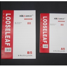 喜博 活页芯活页本替芯活页纸内芯笔记本 A5