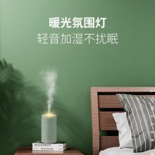 海纳斯（HANASS） 加湿器 加水小型usb插电便携加湿伴侣 HM-101