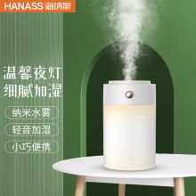 海纳斯（HANASS） 加湿器 车载USB插电便携夜灯加湿器伴侣 LYP829