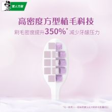 黑人（DARLIE） 密护龈牙刷2支装 绒感软毛 绵密泡泡