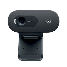 罗技（Logitech） C505e 高清网络摄像头