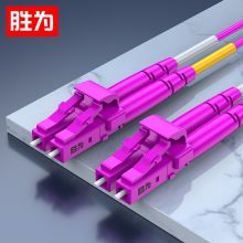 胜为（shengwei）工程电信级万兆光纤跳线 LC-LC网线多模双芯OM4 10米 FLLO-2100