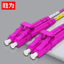 胜为（shengwei）工程电信级万兆光纤跳线 LC-LC网线多模双芯OM4 10米 FLLO-2100