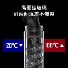富光玻璃杯 双层茶水分离杯 泡茶杯320ML雅黑