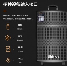 新科（Shinco）T509 移动拉杆15英寸音箱