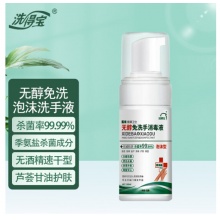 洗得宝 免洗洗手液 无酒精便携家用免洗手消毒液 无醇泡沫型 便携装100ml