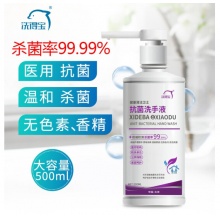 洗得宝 抗菌洗手液 杀菌消毒洗手液 500ml