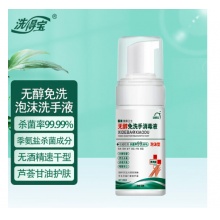 洗得宝 免洗洗手液 无酒精 无醇泡沫型 便携装100ml