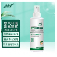 洗得宝 消毒液空气环境消毒喷雾250ml