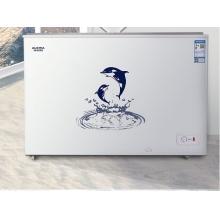 澳柯玛（AUCMA）306升家用商用大容量冰柜  BC/BD-306