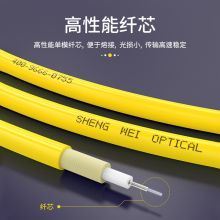 胜为电信级光纤跳线 LC-LC单模双芯3米 FSC-107
