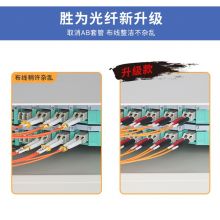 胜为电信级光纤跳线 LC-FC单模双芯3米  FSC-110
