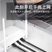 山泽（SAMZHE) 六类CAT6类网线 千兆网络连接线  白色30米 6300PBS