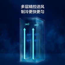 海尔（Haier） 215升风冷无霜立式展示柜冰柜 冷柜 SC-228DS