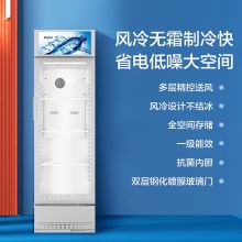 海尔（Haier） 215升风冷无霜立式展示柜冰柜 冷柜 SC-228DS