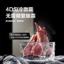 海尔（Haier） 193升匀冷家用立式冰柜 冷柜小型冰箱 BD-193MDT