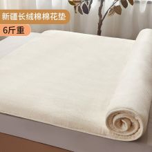 南极人 棉花床垫子垫褥 莫斯-棉花褥子J【6斤】 120*200cm