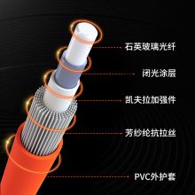 netLINK HTF-SC-ST-MM/5 电信级光纤跳线 62.5μm 5米 一条