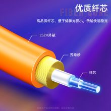 山泽(SAMZHE) 光纤跳线 电信级LC-ST多模双芯 3米 G2-LCST03