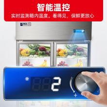 星星（XINGX） 展示柜冷藏冰柜 800升 BC-980Y