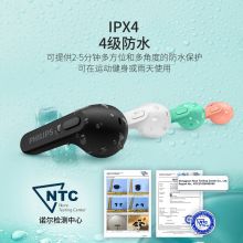 飞利浦（PHILIPS）真无线蓝牙耳机回音降噪CD级高清音质 TAT2206黑