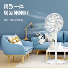 先锋 电风扇 台地两用扇 白色 DLD-D17