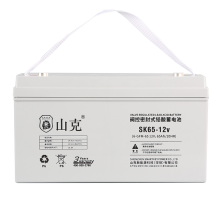 山克SK65-12v蓄电池 UPS电池