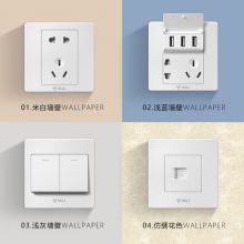 公牛墙壁插座 电脑插座G07系列 86型面板G07T222  暗装