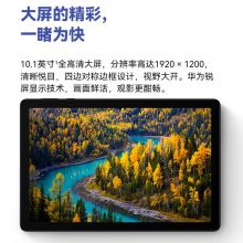华为 平板畅享2/MatePadSE 10.1英寸【Pad SE】深海蓝 全网通 4G+128G 官方标配