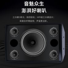 先科（SAST）VD-201 音响套装 一拖二带双话筒