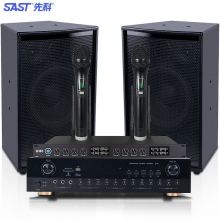 先科（SAST）VD-201 音响套装 一拖二带双话筒