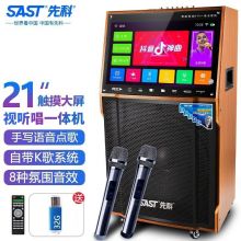 先科 SA-221 家庭ktv音响套装