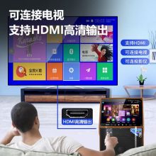 先科 SA-221 家庭ktv音响套装