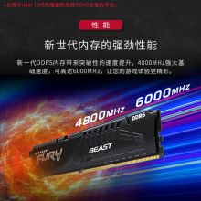 金士顿(Kingston)DDR5台式机内存 FURY Beast野兽系列 骇客神条 5600 16G