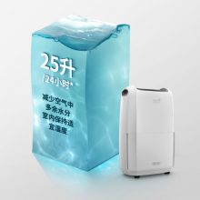 德龙（Delonghi）除湿机 抽湿量25升/天 家用地下室多场景 干衣吸湿器 DDSX225