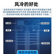 海信（Hisense）展示柜冷藏 388升风冷无霜单门商用便利店超市冰箱保鲜饮料啤酒陈列柜SC-388WLA