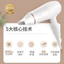 飞利浦 电吹风机恒温速干负离子养护 2000W大功率 BHD028/05