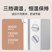 小米 电暖器取暖器 开机速热三档功率IPX4防水  KRDNQ04ZM