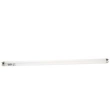  飞利浦 LED灯管T8 8W 0.6米白光6500K双端进电20支/箱 1箱