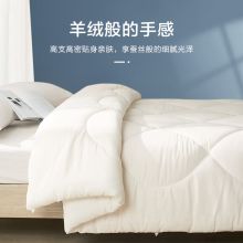 博洋家纺 抑菌春秋被芯被子 35%大豆纤维简致（白）150*210cm