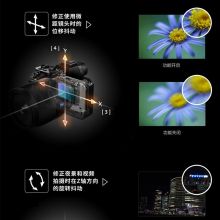 索尼 ILCE-7M2微单相机全画幅数码相机 a7M2 单机身